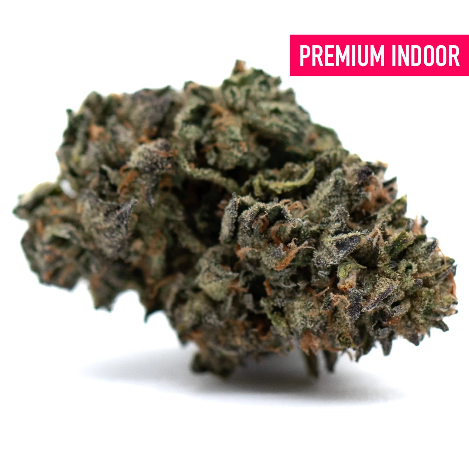 Dark green and purple cannabis bud with trichomes and orange hairs from Gas Indoor THCa Flower, high THCA, lemon pine aroma