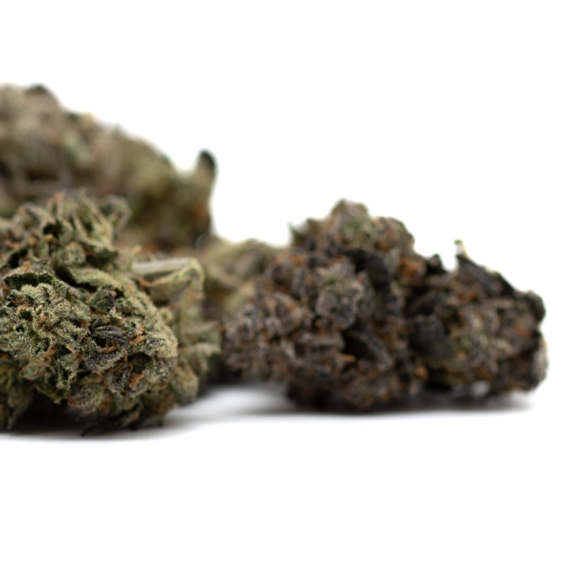 Dense indoor THCA flower with purple hues, orange pistils, and trichomes for high THCA potency