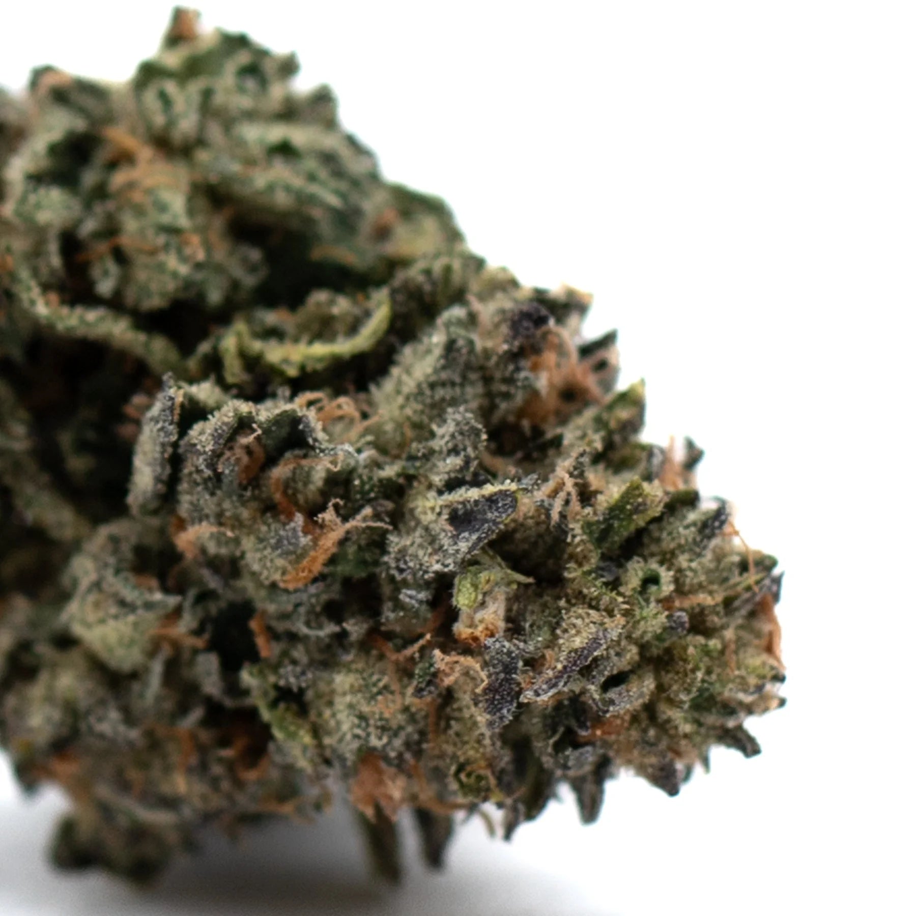 Dense indoor THCA flower with vibrant green, purple, orange hues, frosty trichomes
