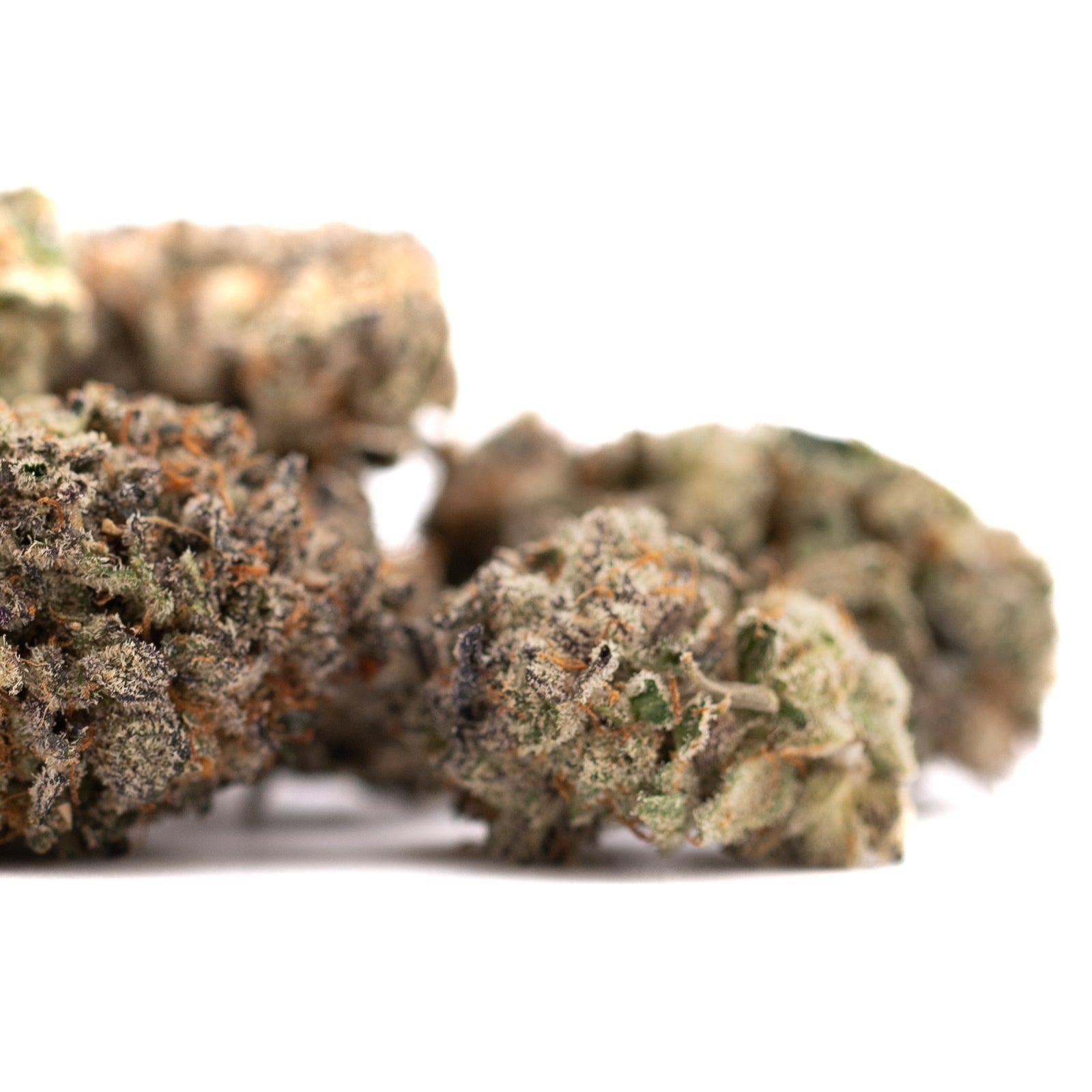 Indoor THCa flower with orange hairs and frosty trichomes in GAS Indoor THCa Flower product