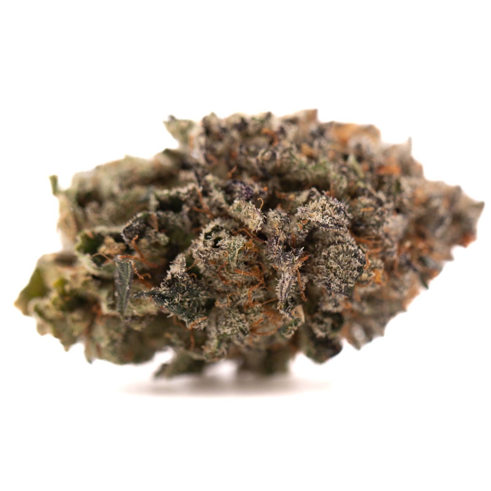 Dense trichome-covered GAS Indoor THCa Flower with purple and orange hues showcasing rich terpene profile