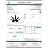 Gas Monkey 21% THCA Pre-Rolls 1 gram - 1 GRAM - Premium