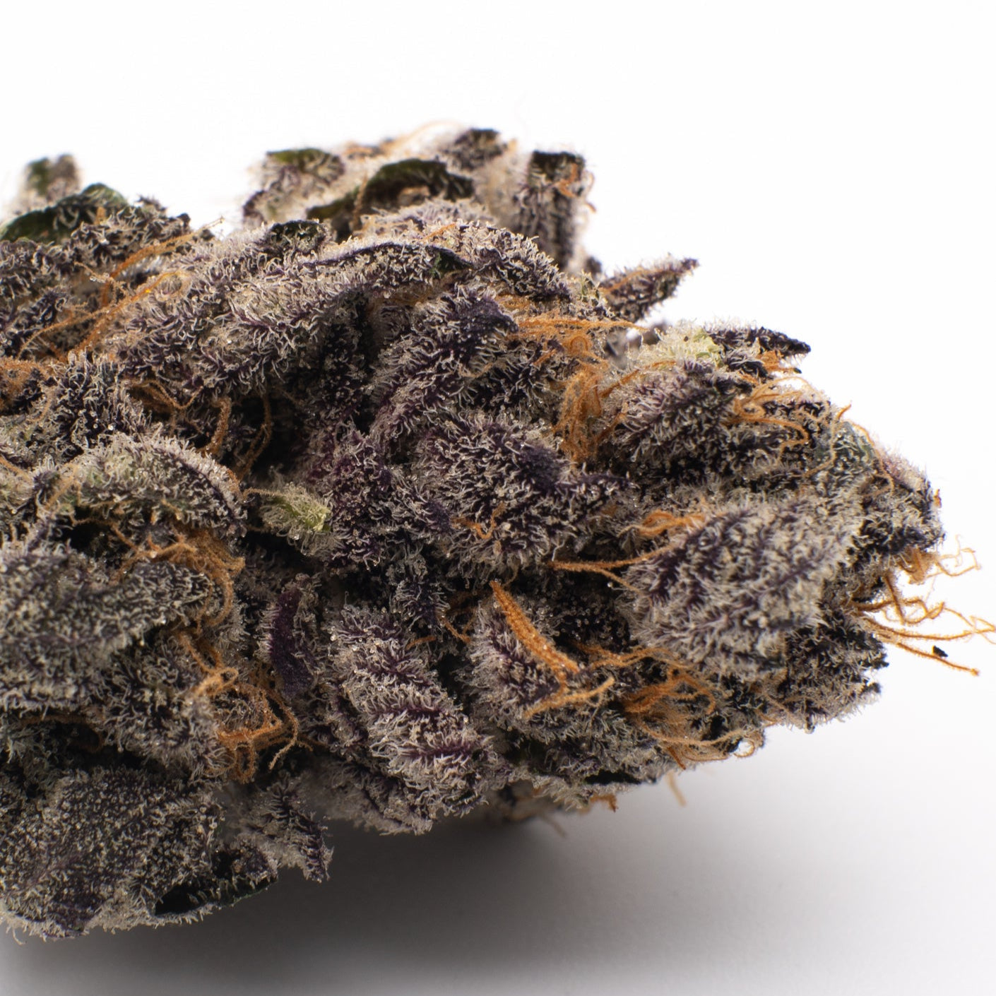 Gas Monkey Indoor THCa Flower - Plants