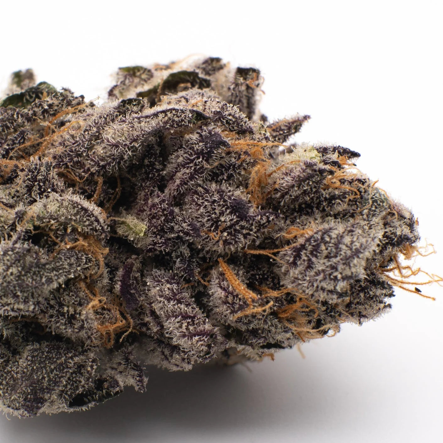 Gas Monkey Indoor THCa Flower - Plants