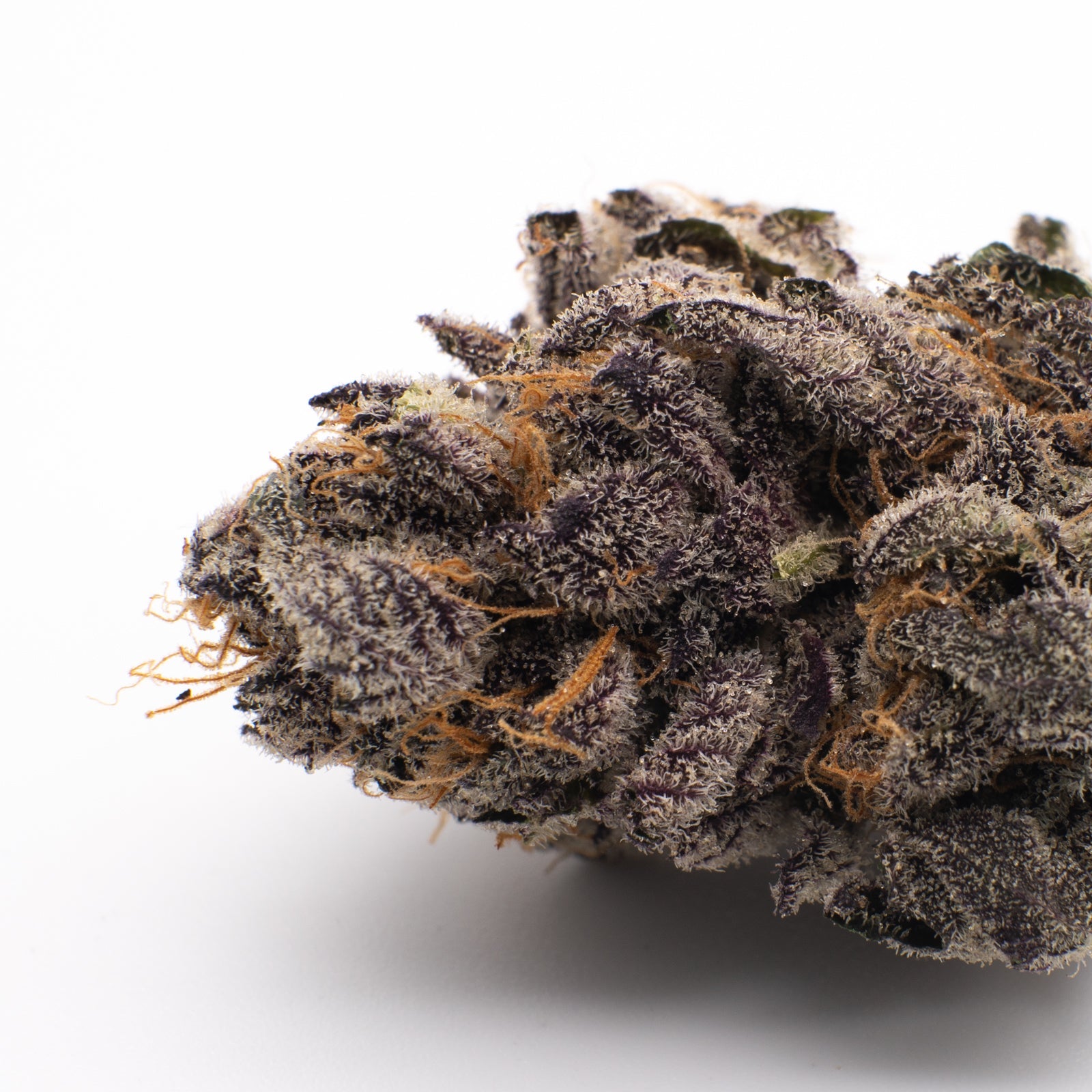 Gas Monkey THCa Flower Wholesale - 1/2lb - Plants