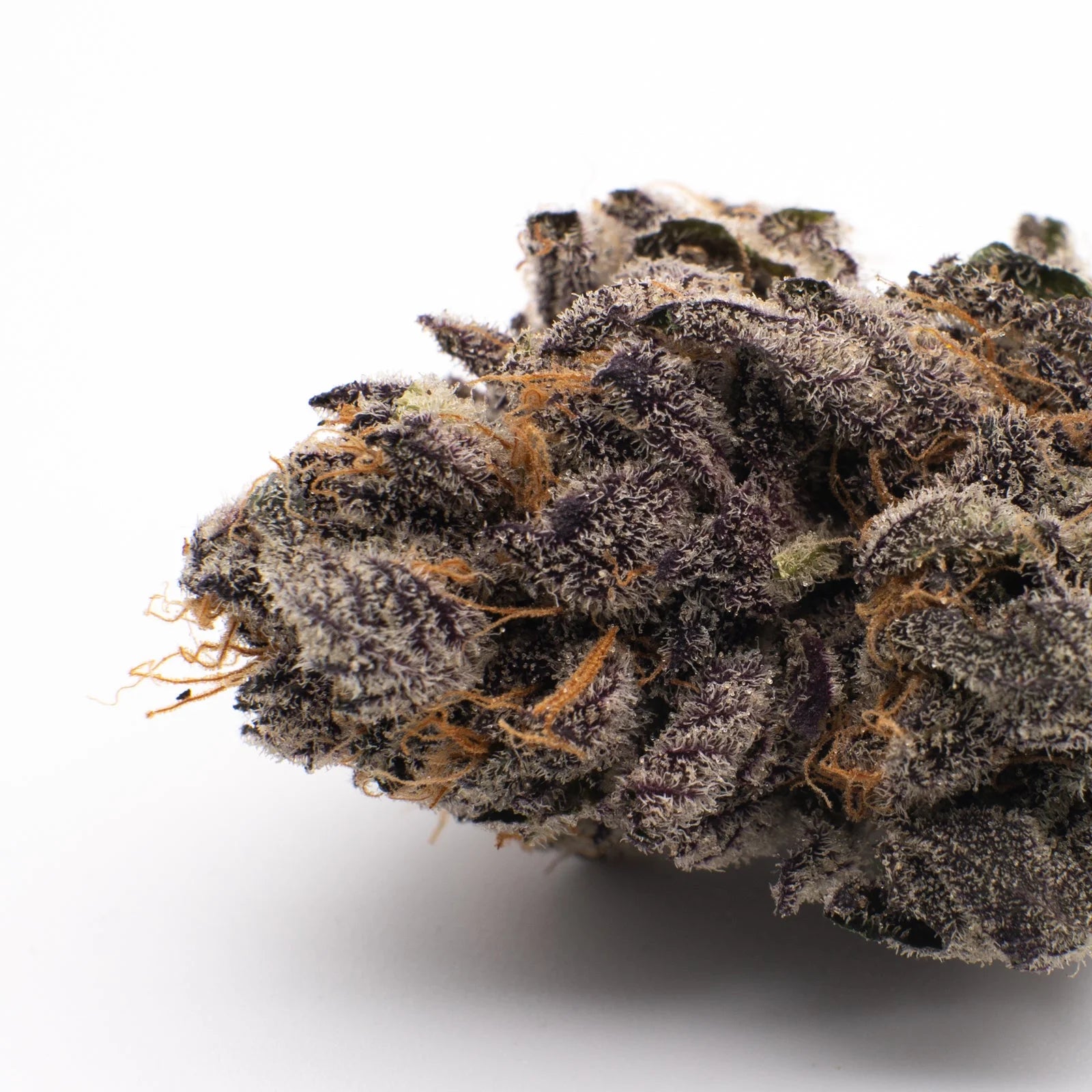 Gas Monkey THCa Flower Wholesale - 1/2lb - Plants
