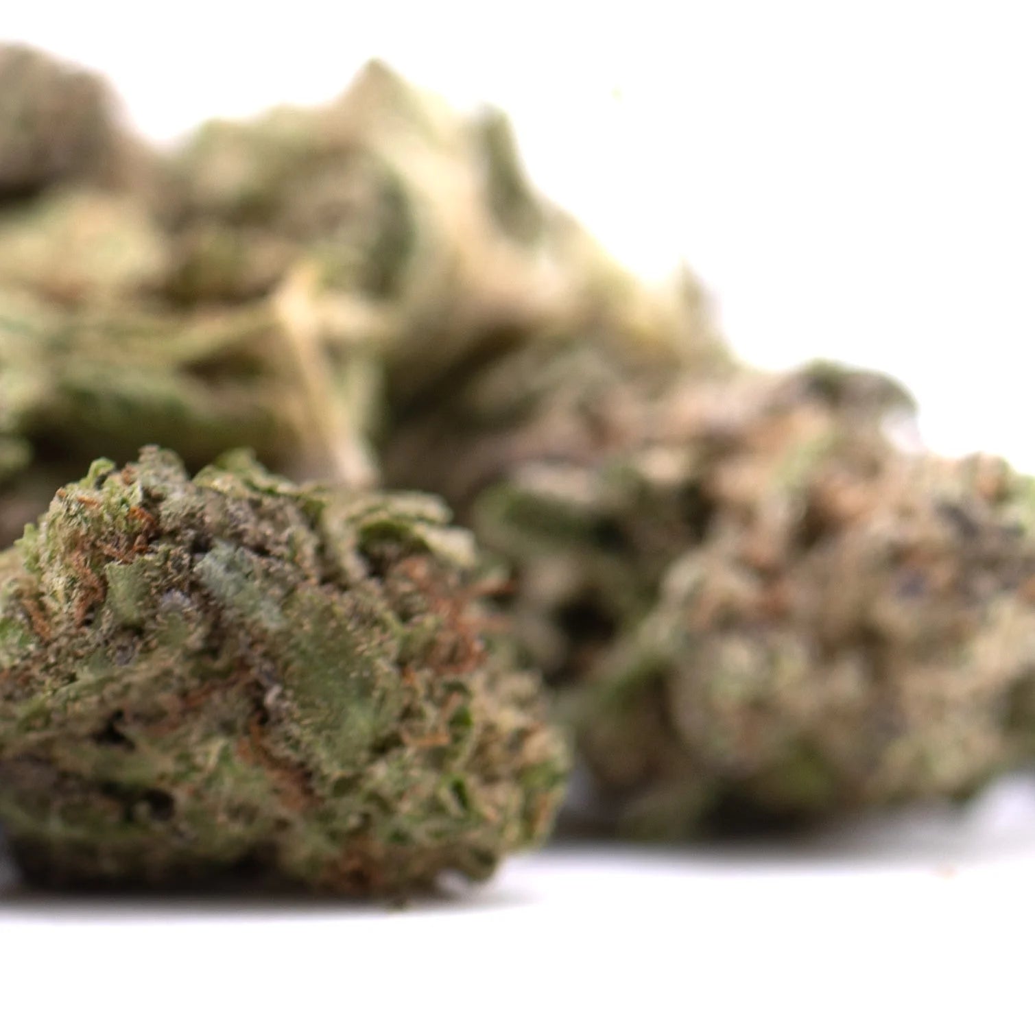 A dense green gas monkey hemp flower greenhouse smalls bud with textured surface and thca content hints of brown trichomes