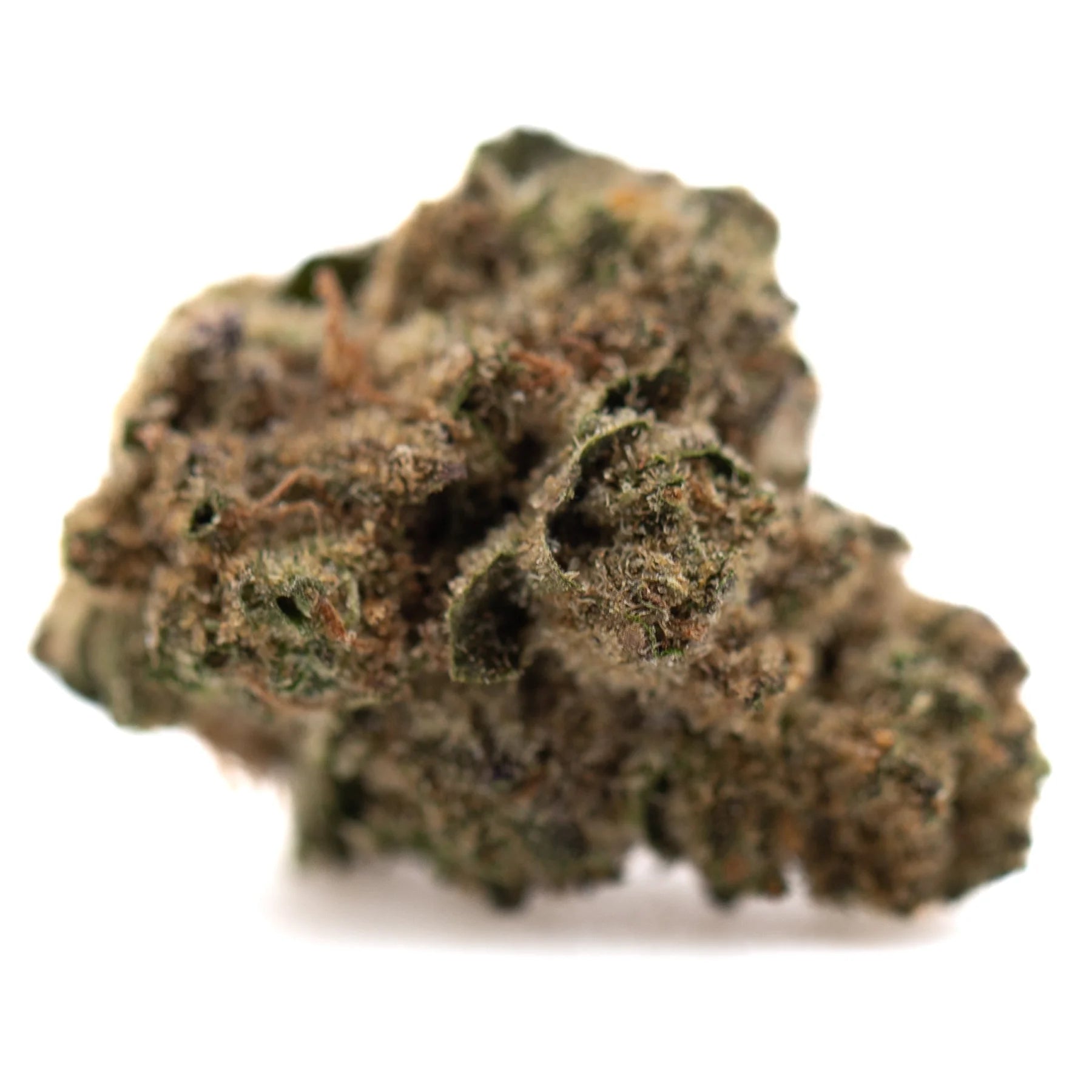 A dense irregular gas monkey hemp flower greenhouse bud with green brown hues and high thca content covered in trichomes