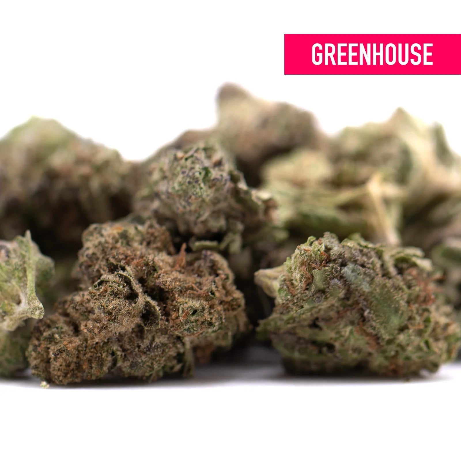 Dense textured gas monkey greenhouse smalls cannabis buds with green and brown hues and high thca content