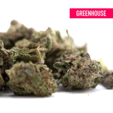 Dense greenhouse cannabis buds in shades of green and purple from gas monkey thca flower heavy indica gas genetics
