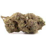 Gas Monkey THCa hemp flower bud with white trichomes