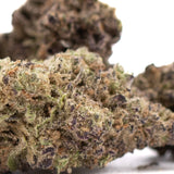 Gas Monkey THCa hemp flower bud with green purple hues and trichomes