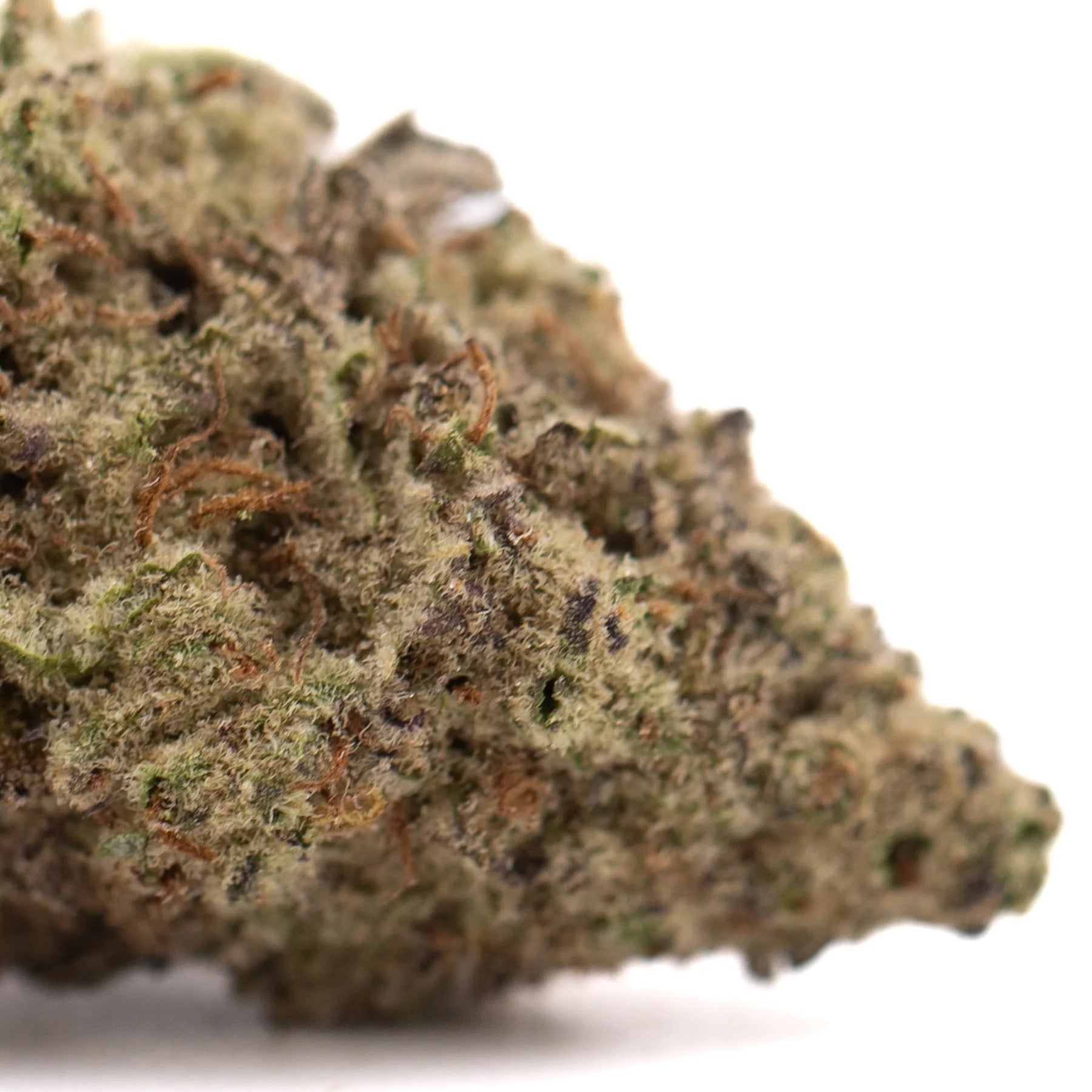Dense textured gas thrca flower with green and brown hues covered in trichomes featuring authentic og kush gas profile