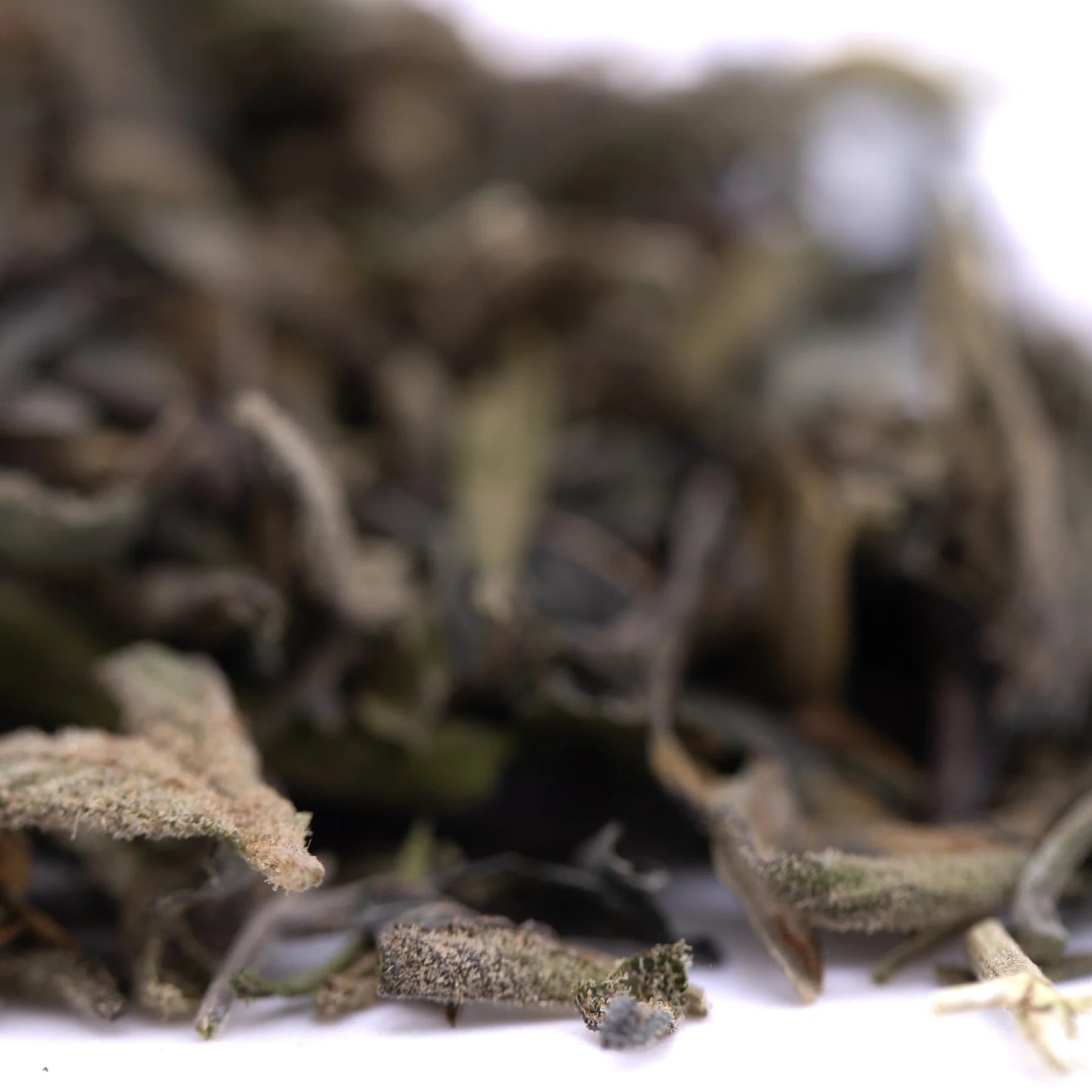 Dried sage leaves in muted greenish brown texture from gassa purple’s greenhouse thca trim wholesale product