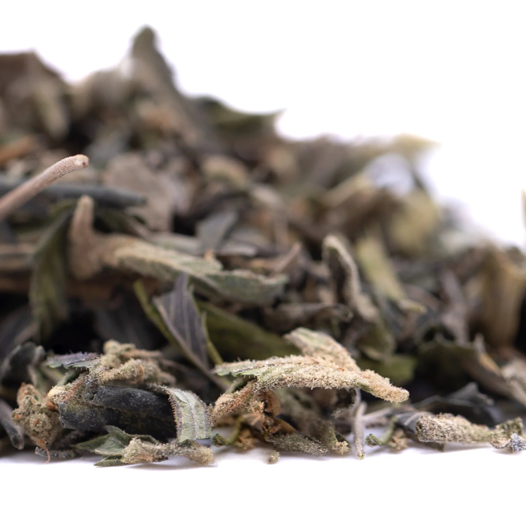A pile of dried silvery green gassa purple’s greenhouse thca trim leaves with a slightly fuzzy texture for thca trim wholesale