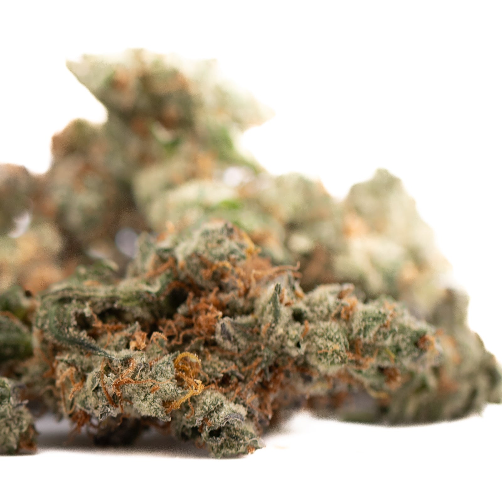 Gassa Purple Indoor THCA Flower with dried cannabis buds, orange hairs, frosty trichomes