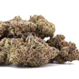 A dense green and brown gassa purple greenhouse thca flower bud covered in fine trichomes with heavy diesel scent