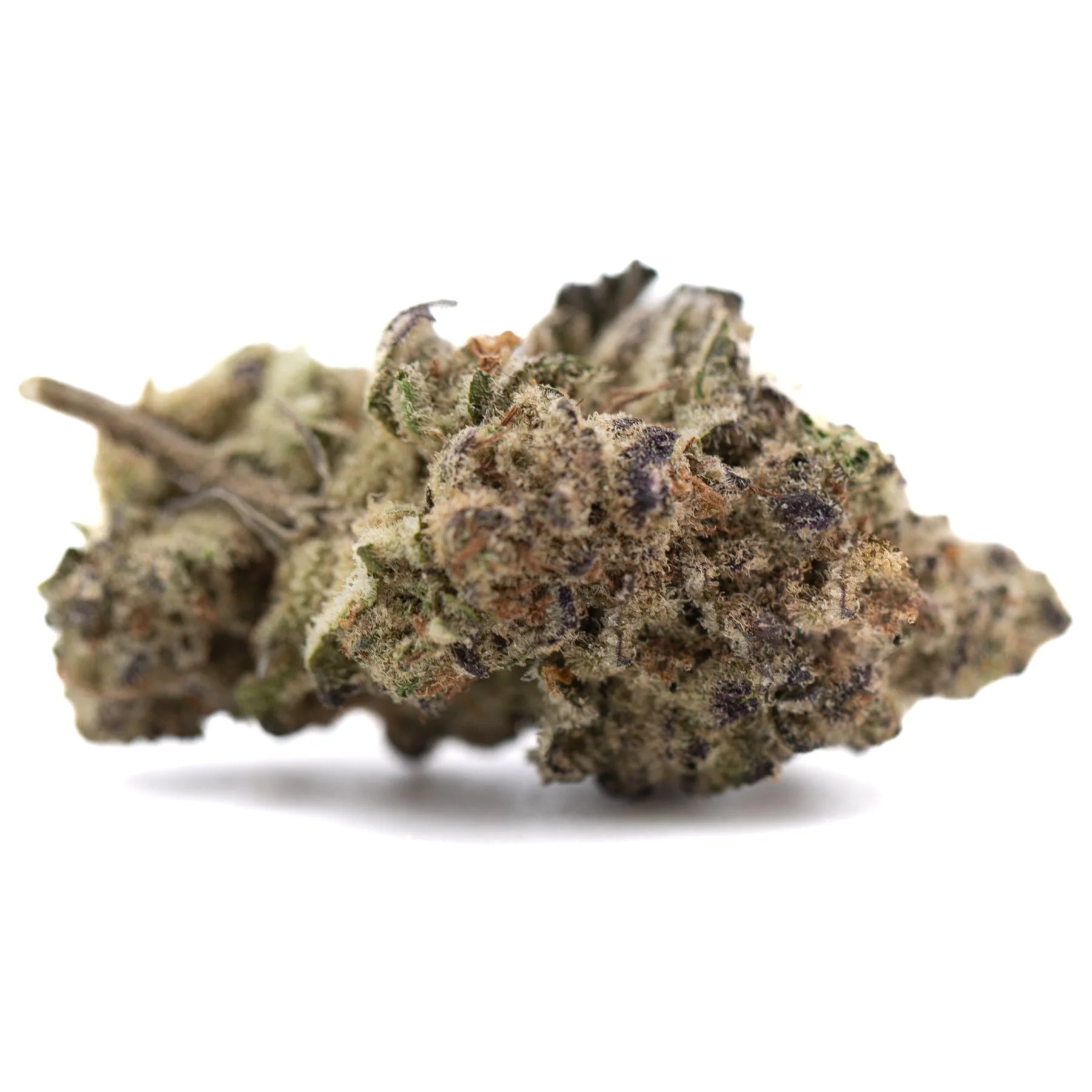 A dense green and purple gassa purple greenhouse thca flower bud covered in fine trichomes with heavy diesel scent
