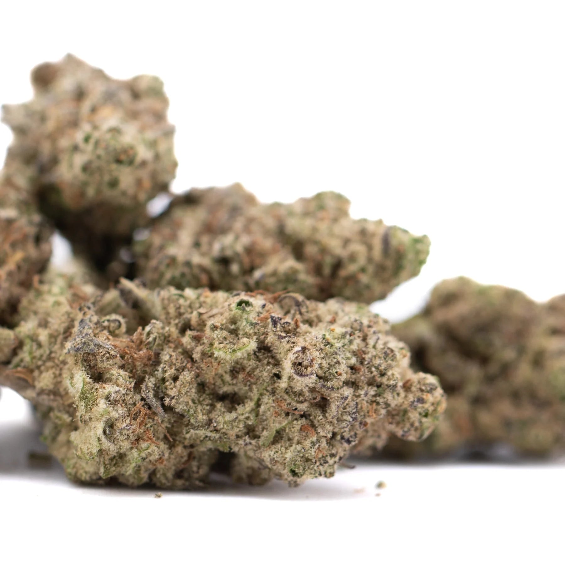 Lush dense gassa purple greenhouse thca flower with textured green and brown heavy diesel hemp buds close-up