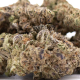 A dense thca flower cannabis bud with purple gas hues and resinous trichomes baox x therapy greenhouse wholesale