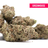 Greenhouse gassa purple thca flower buds with dense green and brown textures ideal for baox x therapy use