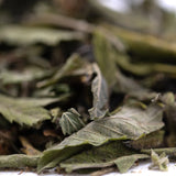 Dried green gelato greenhouse thca trim wholesale leaves with curled edges and matte earthy texture highlighting terpene profile