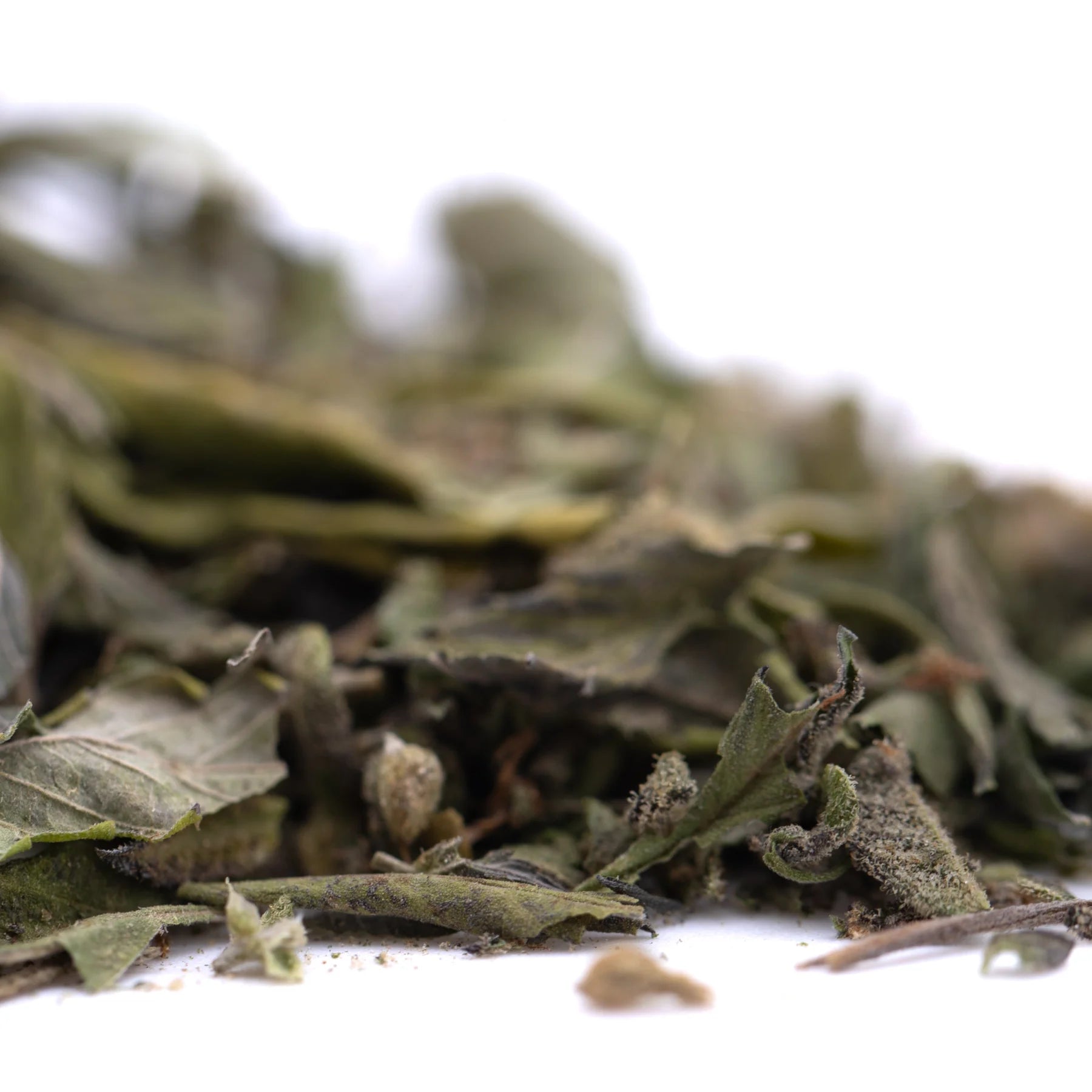 A pile of dried gelato greenhouse thca trim wholesale mint leaves with muted green hue and rich terpene profile texture