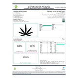 Bacio Gelato Indoor THCa Flower - Plants