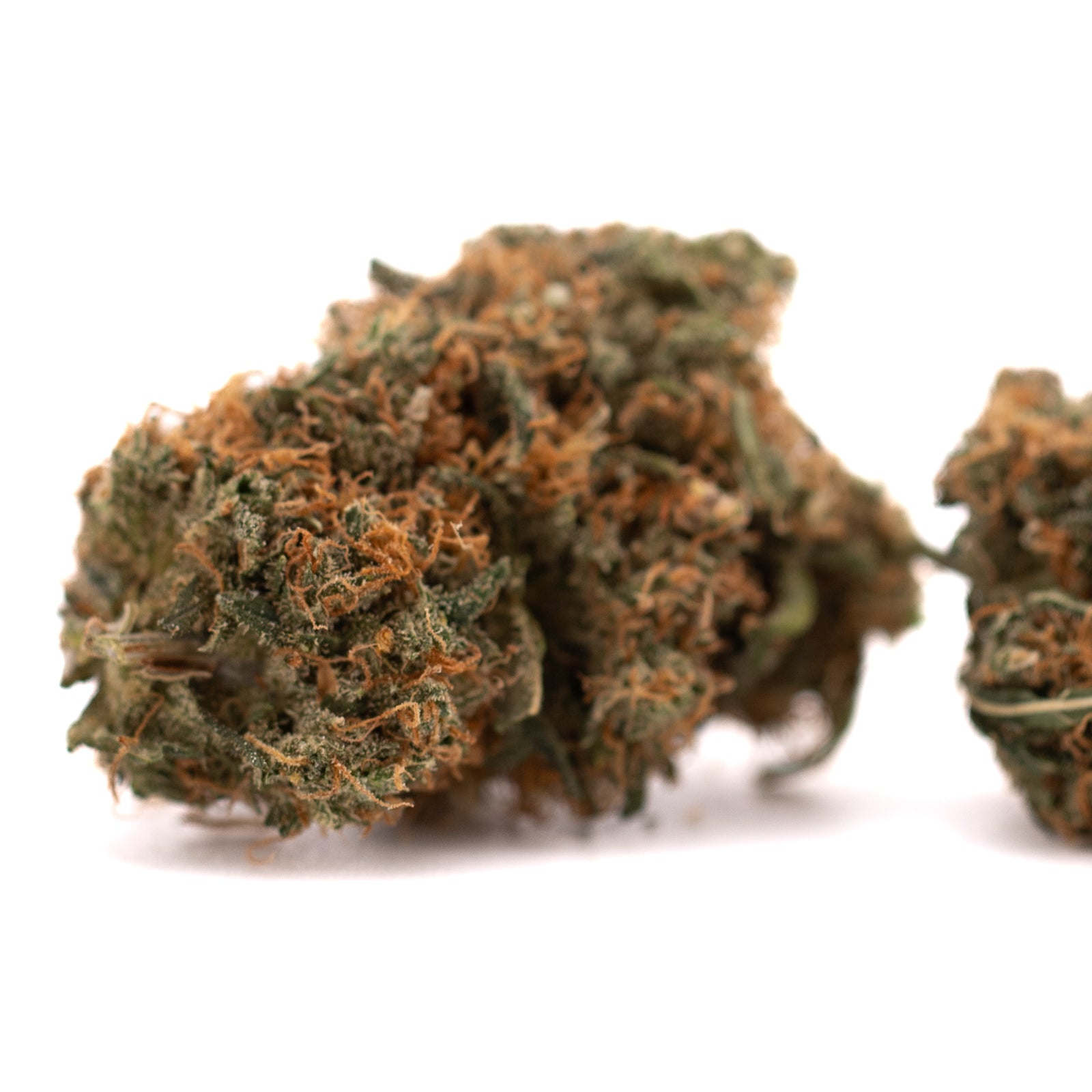 Dense Gelato Mints Indoor THCa Flower with trichomes and orange pistils, perfect for orchard swirl and animal mints enthusiasts