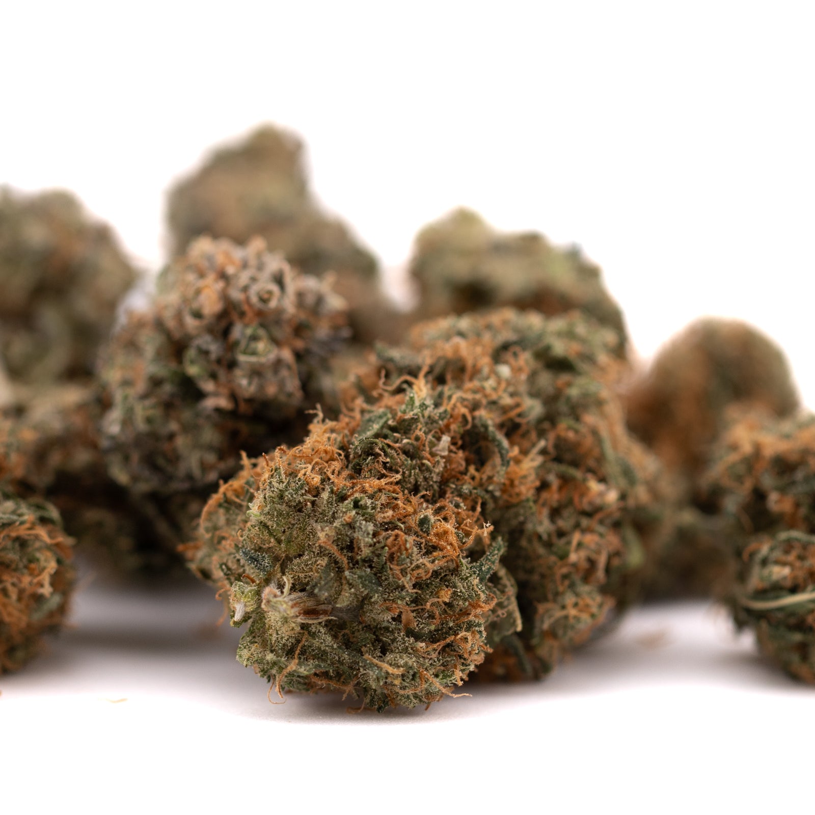 Dried Gelato Mints Indoor THCa Flower with orange hairs, orchard swirl, and animal mints aroma