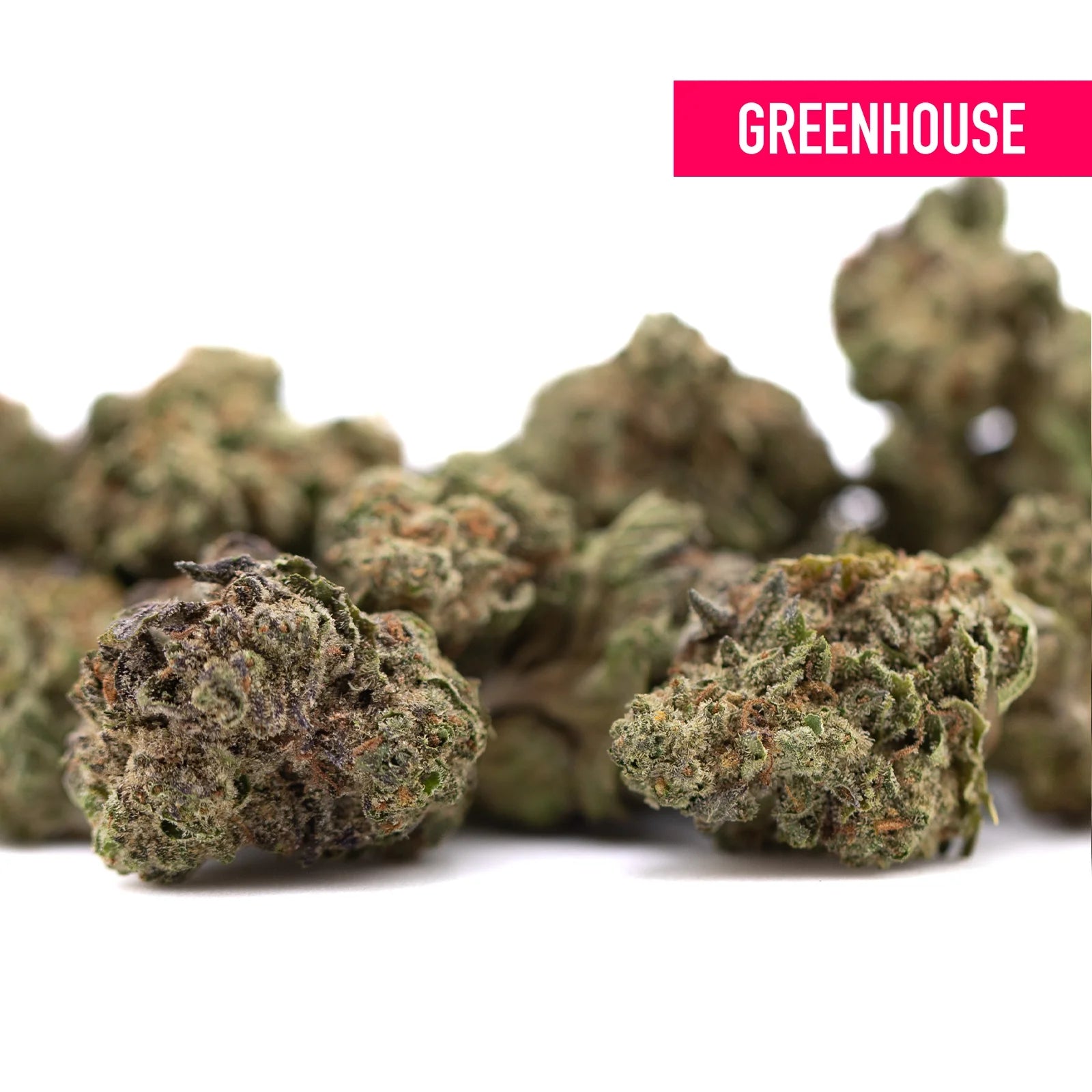 Gelato thca greenhouse smalls cannabis buds with dense textured surfaces covered in green and brown trichomes