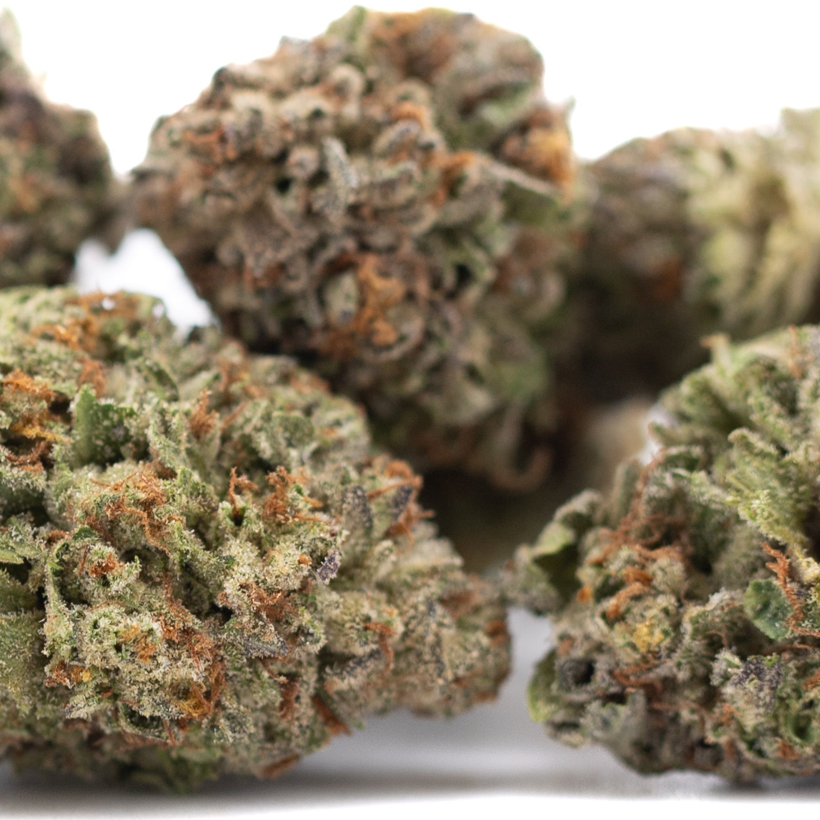 Gelato THCa hemp flower greenhouse bud with orange green hues and trichomes