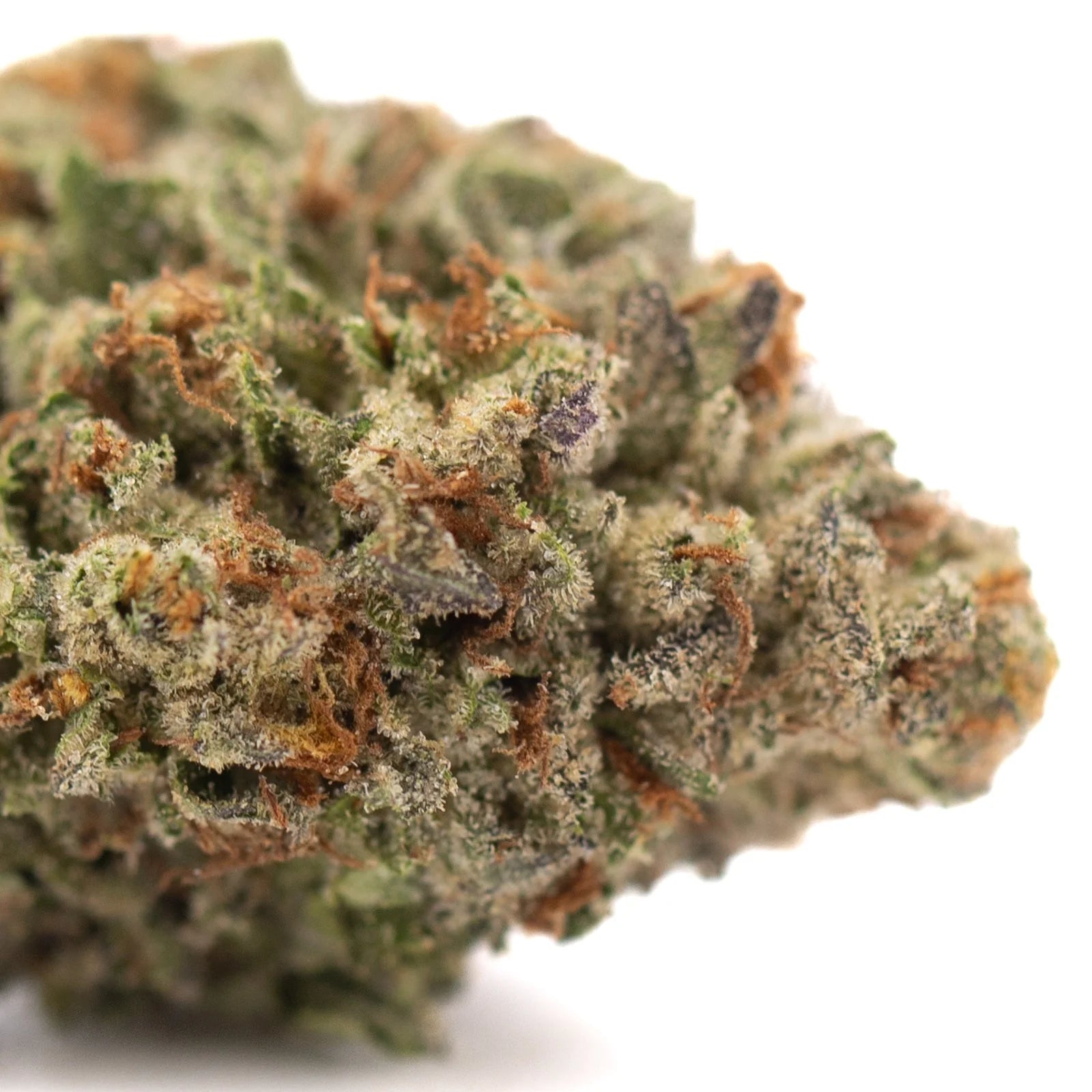 Green and orange Gelato THCa hemp flower bud with white trichomes