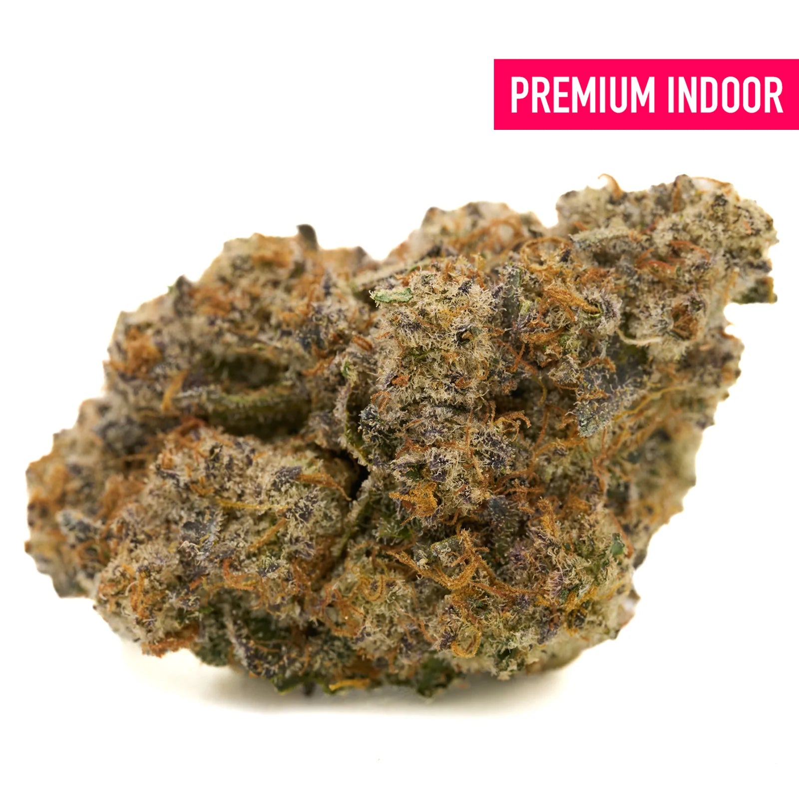 Georgia Pie indoor THCa flower with dense trichomes, orange hairs, and purple hues