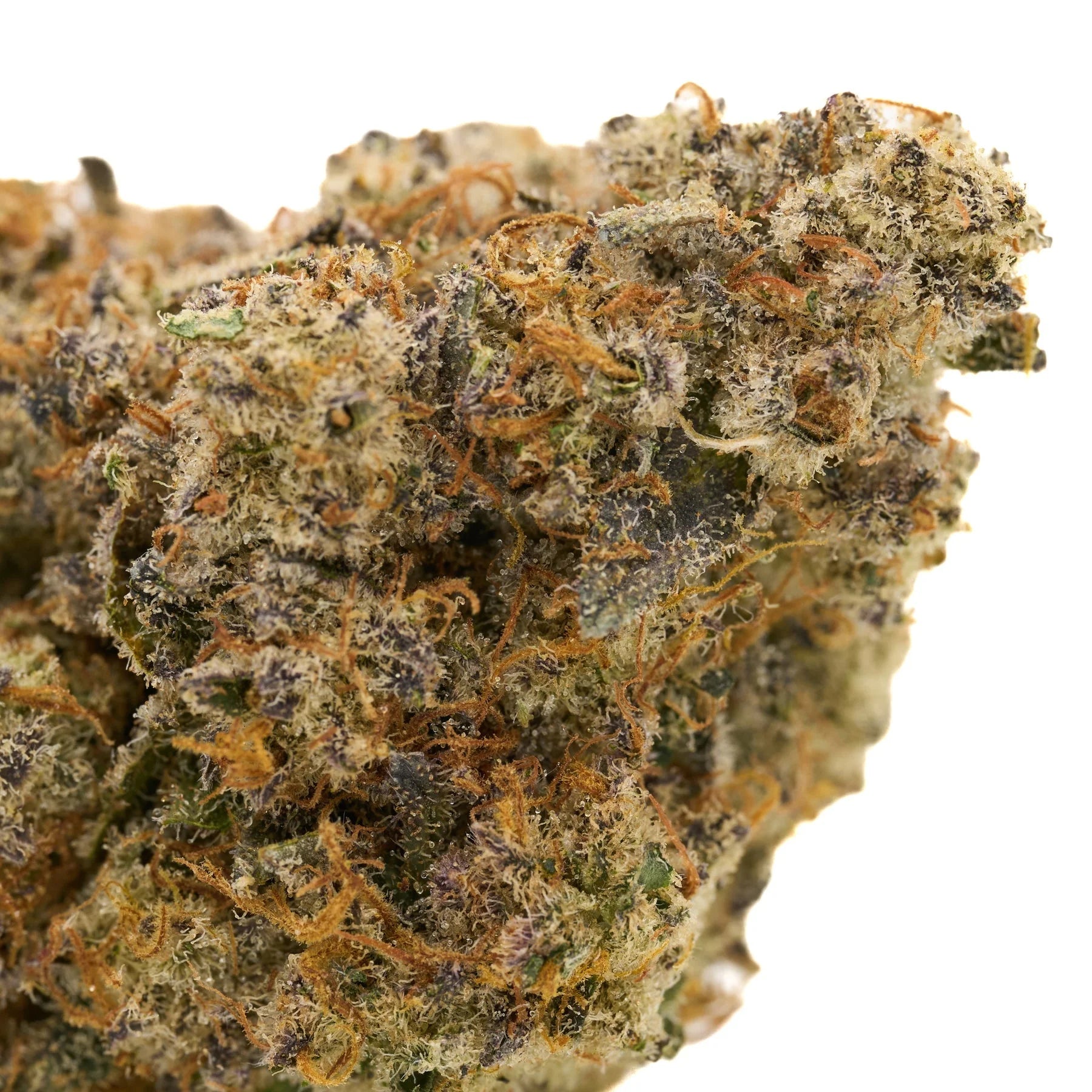 Georgia Pie Indoor THCa Flower with dense trichomes, orange hairs, and purple hues