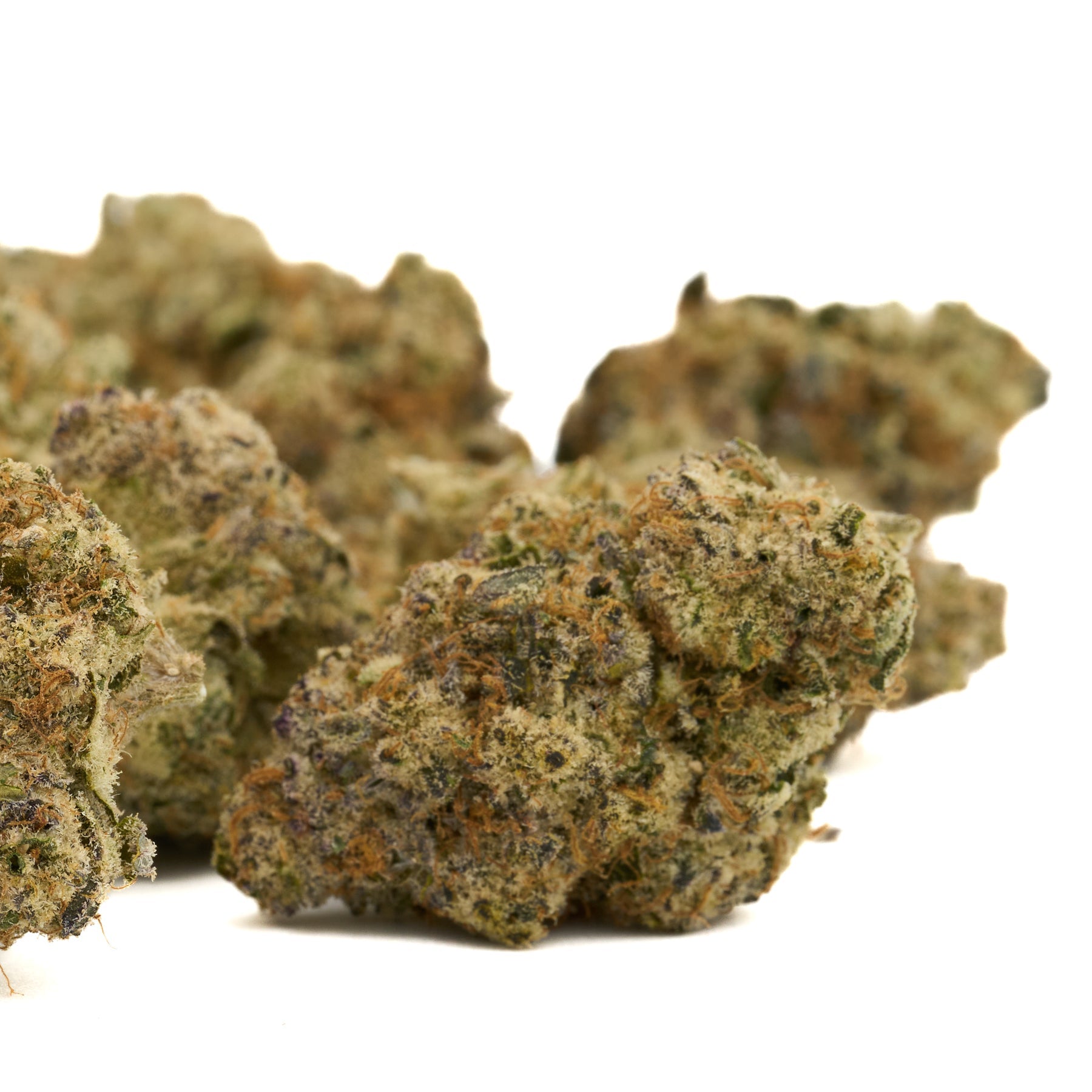 Several dried Georgia Pie THCA Flower buds from Orchard Illusions indoor cannabis product