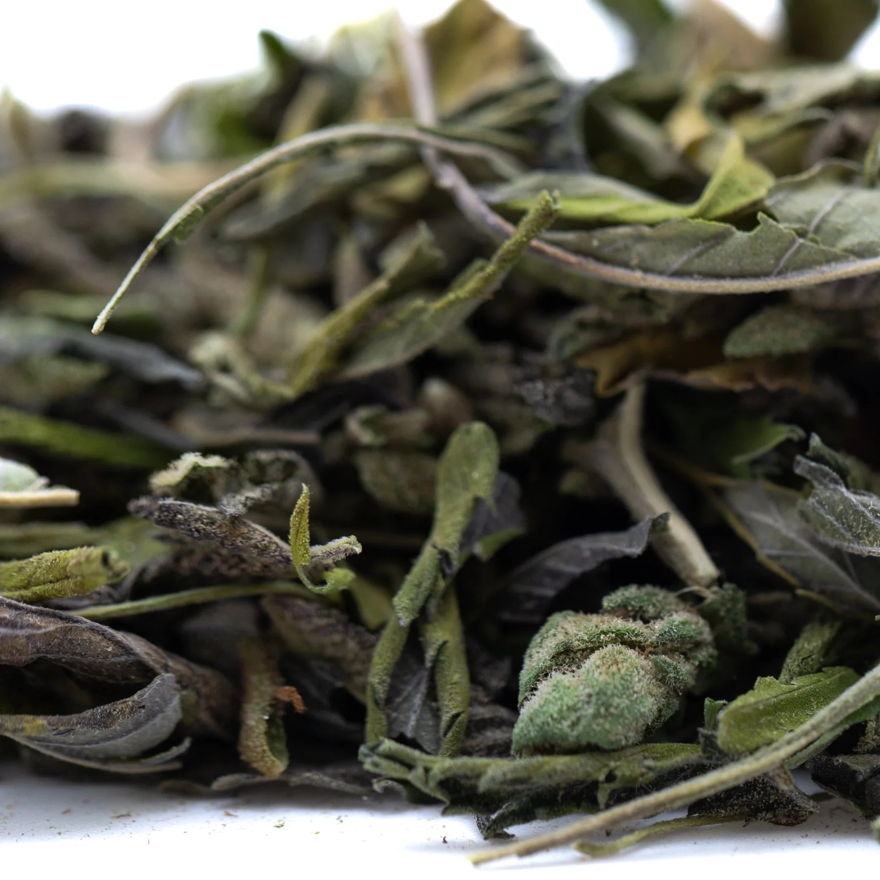 Dried green tea leaves with vibrant and muted shades featuring delicate stems in giggle gas greenhouse thca trim