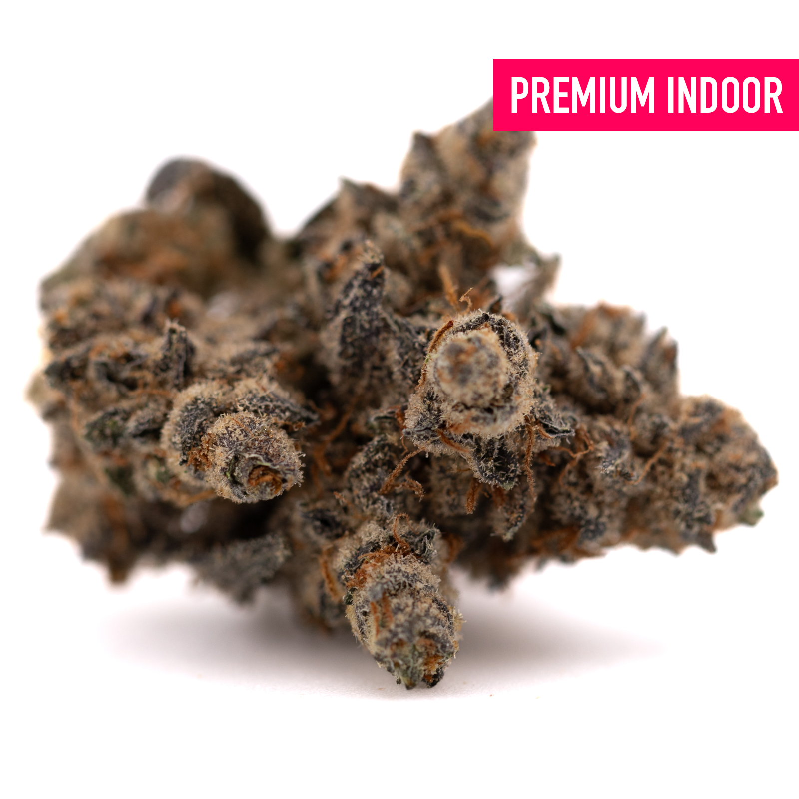 Dark trichome-rich Cannabis Bud from Giggle Gas Indoor THCa Flower for potent effects