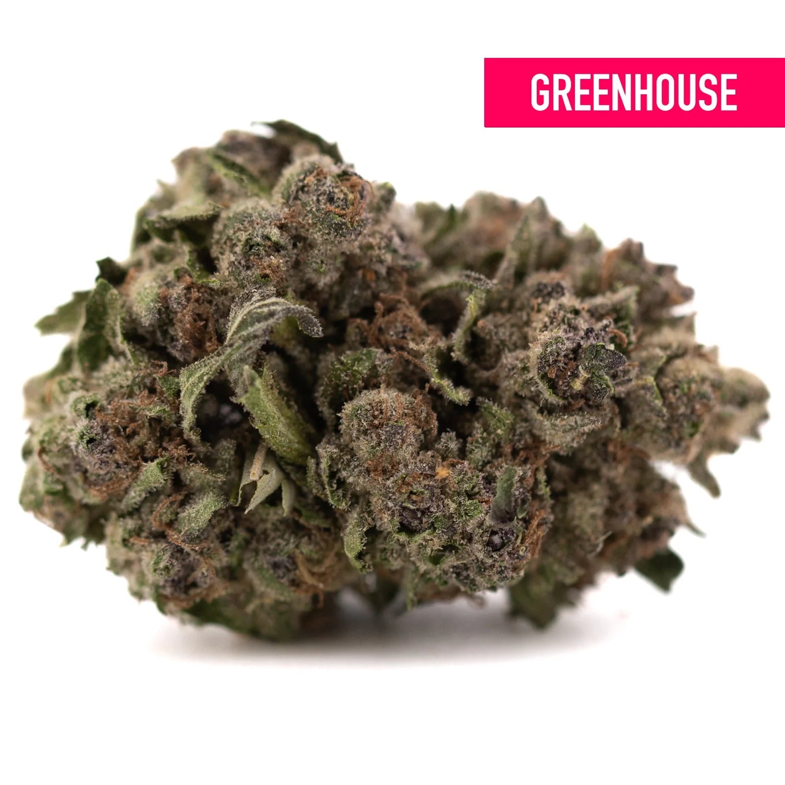A dense greenhouse thca flower premium hemp bud with green and brown hues covered in fine trichomes makes giggle gas