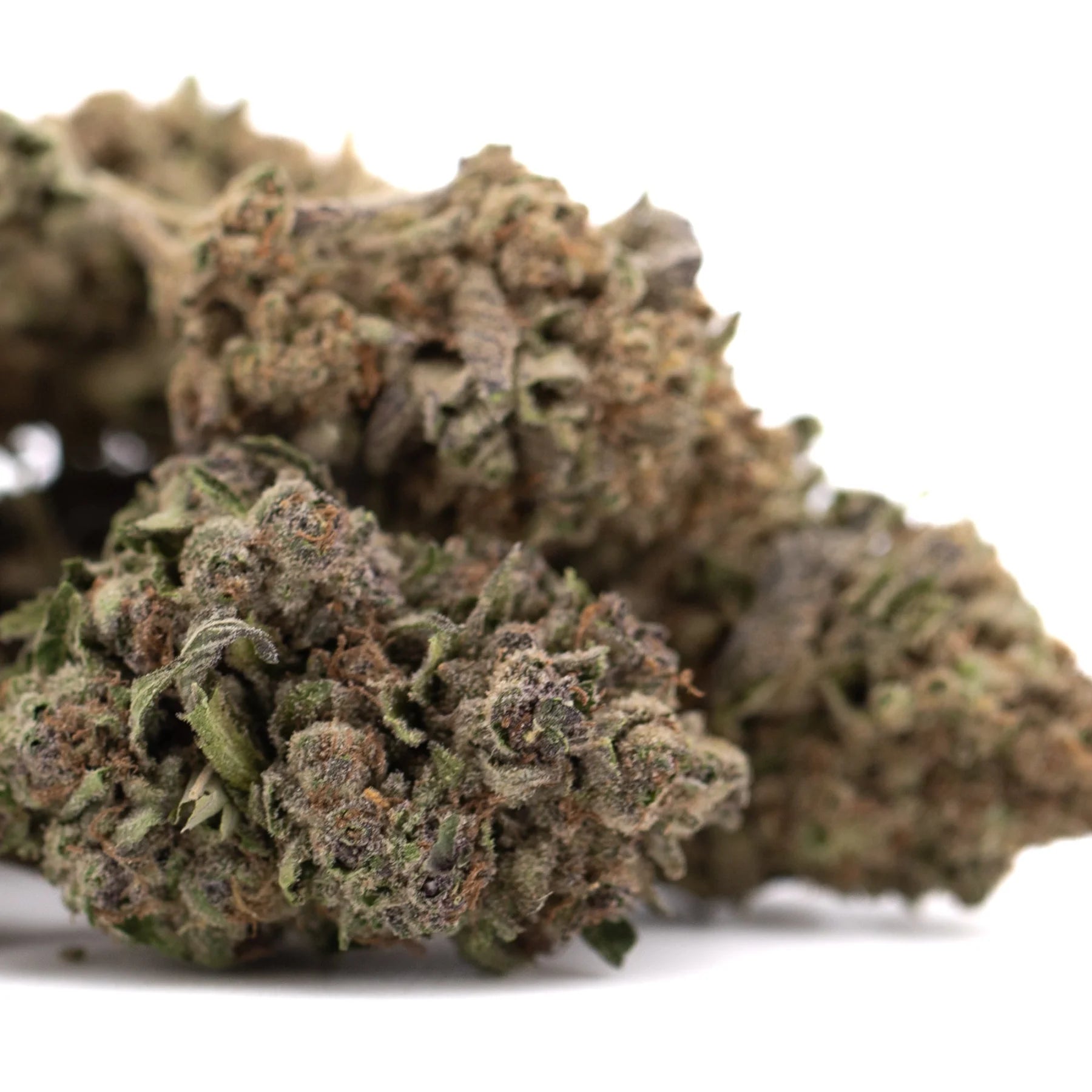 Dense greenhouse thca flower giggle gas premium hemp bud with green brown hues and fine trichomes visible