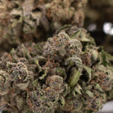 A dense resinous giggle gas hemp flower bud with green brown hues and white trichomes for udders madness