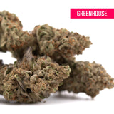 Giggle Gas hemp flower by Greenhouse with dense frosty green and brown trichomes from udders madness collection