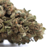 Dense green and brown glue cbd hemp flower covered in trichomes ideal for wholesale buyers and sour tsunami fans