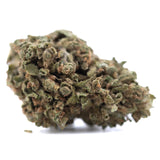 Dense green and brown glue cbd hemp flower full-term bud covered in trichomes ideal for wholesale buyers