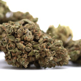 Dense green glue cbd hemp flower full-term bud with trichomes and brown pistils ideal for wholesale buyers