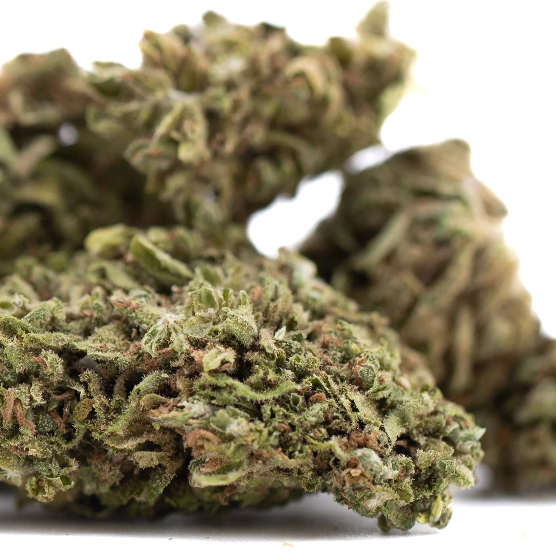 Green and brown glue cbd hemp buds with dense frosty texture ideal for wholesale buyers and sour tsunami fans