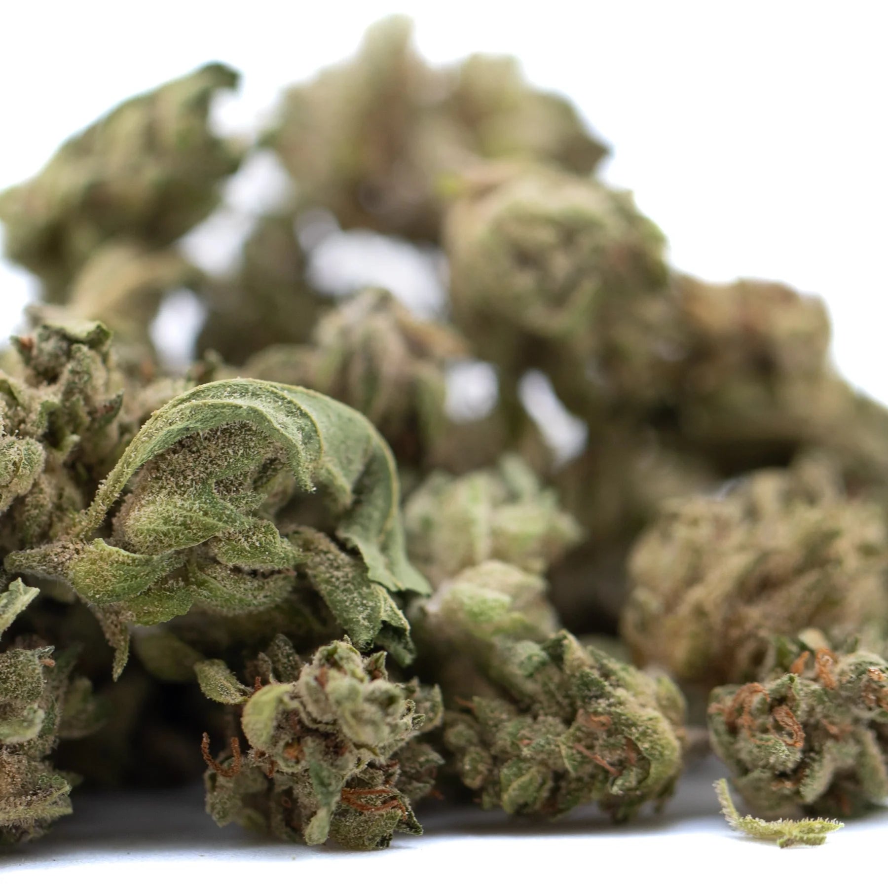 A pile of glue cbd hemp full-term wholesale smalls cbd hemp flower with green and brown hues and fine trichomes