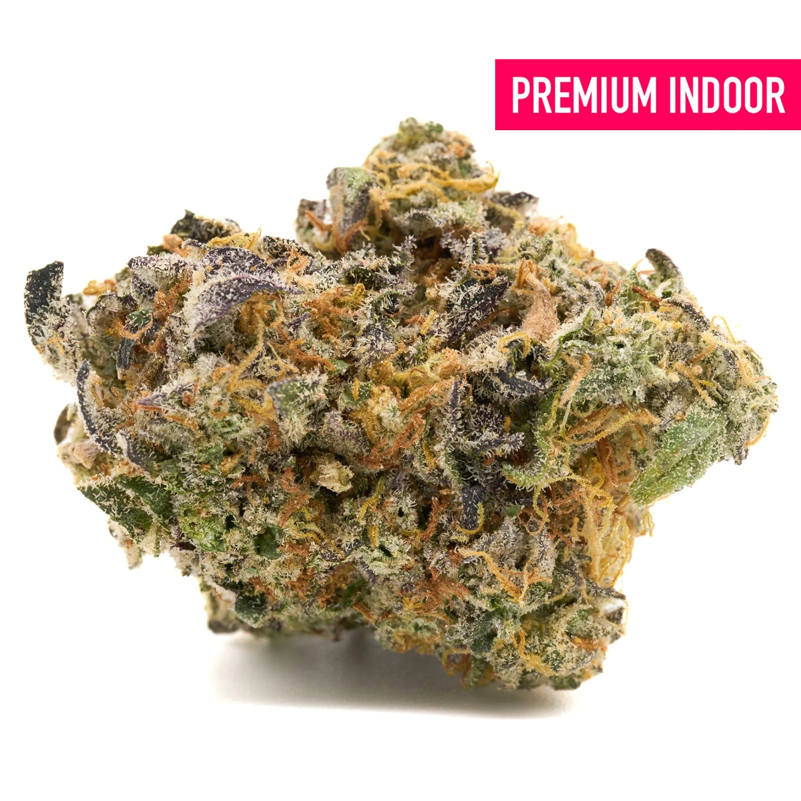 Dense GMO Indoor THCa Flower with trichomes, green, purple, and orange hues