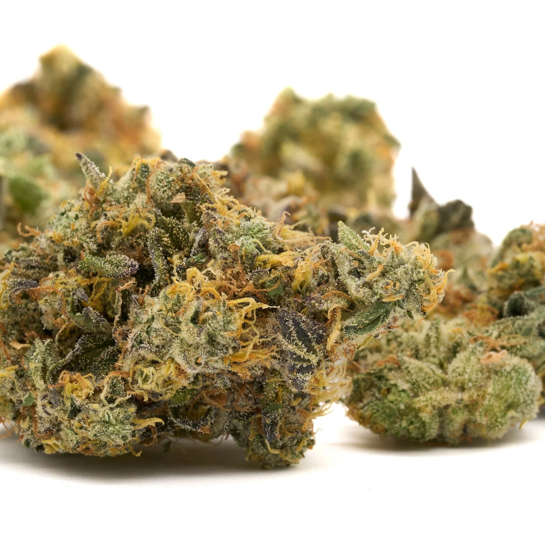 Dried GMO Indoor THCa Flower with green, orange, and purple hemp flower buds