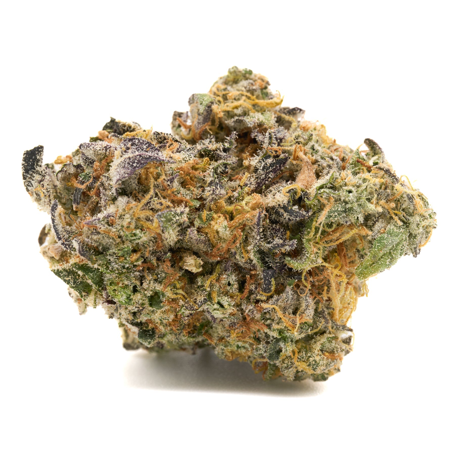 Dense GMO Indoor THCa Flower nug with vibrant green, purple, orange hues and frosty trichomes